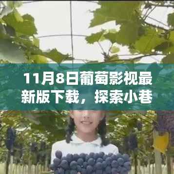 探索影视乐园,葡萄影视最新版下载,小巷深处的影视盛宴