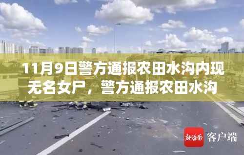 农田水沟内发现无名女尸事件,深度解析与评估的通报消息曝光