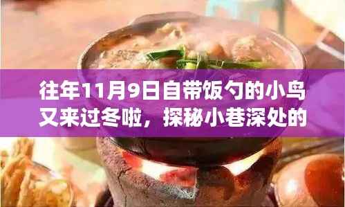 探秘美食秘境，小鸟携勺冬归，往年11月与一月美食盛宴开启