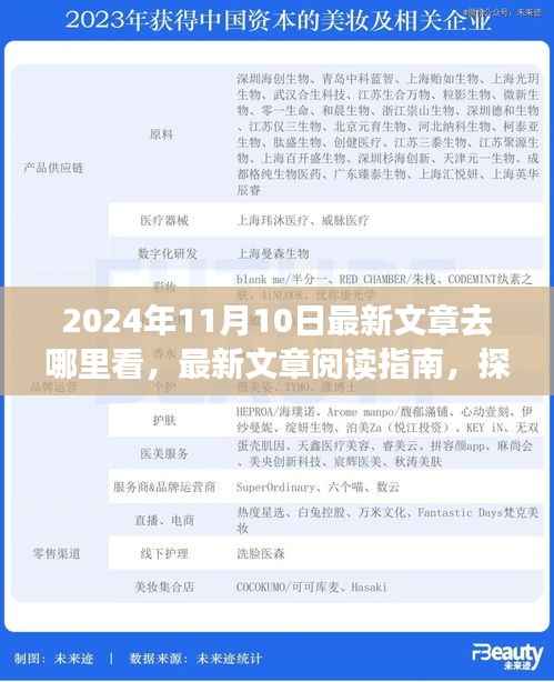 探寻最新文章阅读指南,揭秘2024年11月10日的精彩内容