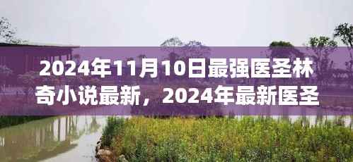 最强医圣林奇小说阅读攻略,获取最新章节的实用指南
