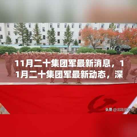 深入解读与分析,11月二十集团军的最新动态与消息