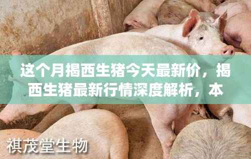揭西生猪最新行情深度解析,本月市场动态、竞品对比及价格走势揭秘