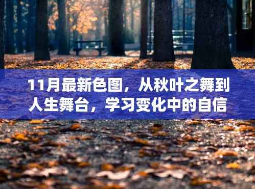 11月新色彩绘人生,从秋叶之舞到自信成就的舞台