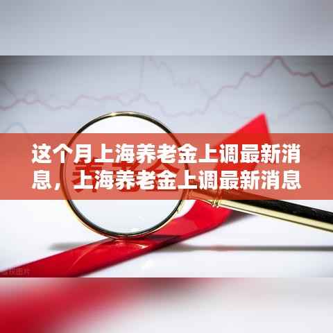 上海养老金上调最新消息详解，轻松了解与操作指南