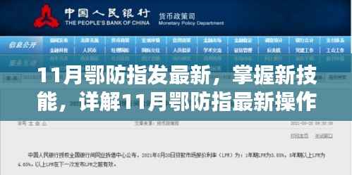 11月鄂防指最新操作流程步骤指南,掌握新技能的详解
