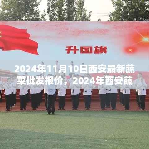 公司概况 第255页