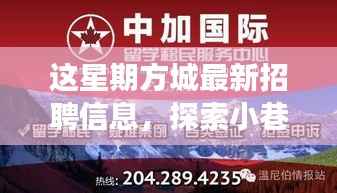 政策法规 第262页