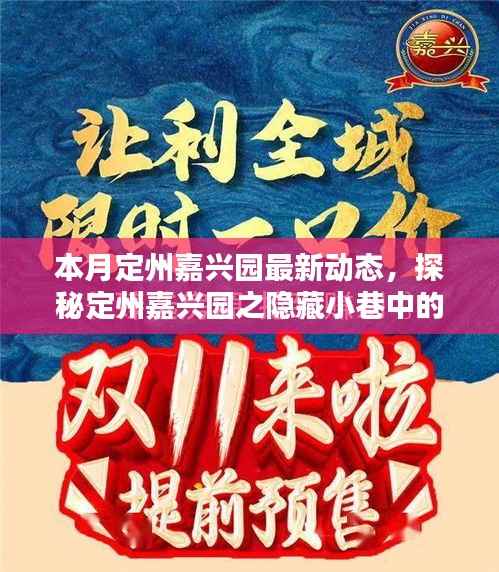 本月定州嘉兴园最新动态,探秘隐藏小巷的独特风味——新鲜打卡指南