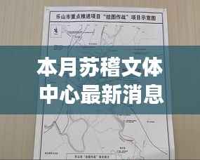 公司概况 第252页