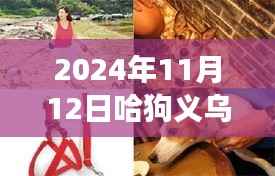 揭秘哈狗义乌版新动向,深度解读与最新动态(2024年11月12日)