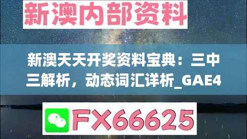 新澳天天开奖资料宝典:三中三解析,动态词汇详析_GAE445.54独版