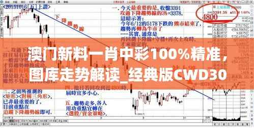 澳门新料一肖中彩100%精准，图库走势解读_经典版CWD305.61