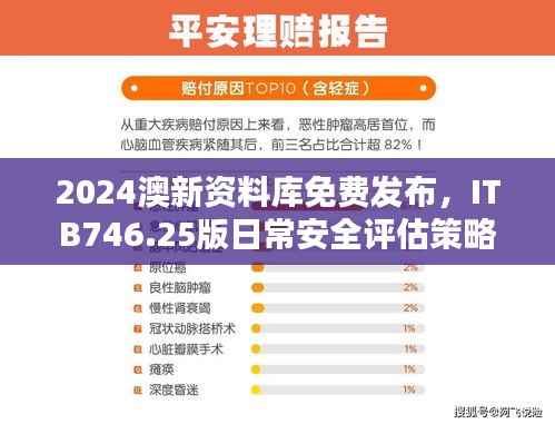 2024澳新资料库免费发布，ITB746.25版日常安全评估策略