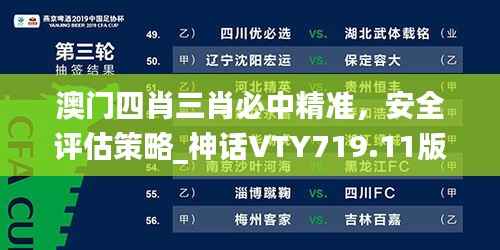澳门四肖三肖必中精准,安全评估策略_神话VTY719.11版
