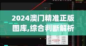 2024澳门精准正版图库,综合判断解析解答_仙君境YIG608.12