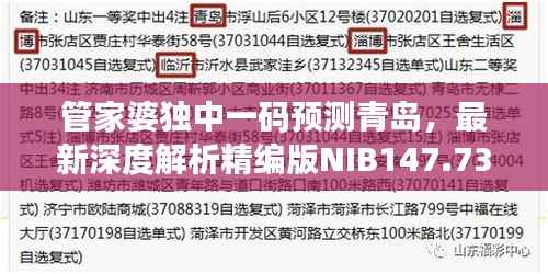 管家婆独中一码预测青岛,最新深度解析精编版NIB147.73