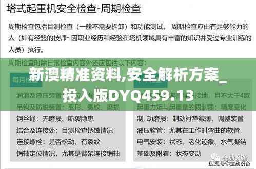 新澳精准资料,安全解析方案_投入版DYQ459.13