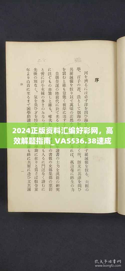 2024正版资料汇编好彩网,高效解题指南_VAS536.38速成版
