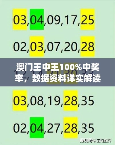 澳门王中王100%中奖率,数据资料详实解读——YLT230.08实验版