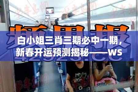 白小姐三肖三期必中一期,新春开运预测揭秘——WSO819.45独家解读
