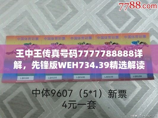 王中王传真号码7777788888详解,先锋版WEH734.39精选解读