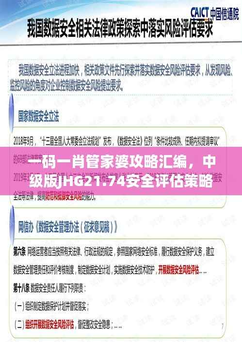 一码一肖管家婆攻略汇编,中级版JHG21.74安全评估策略