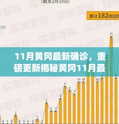 揭秘黄冈11月最新确诊情况,深度解析防疫现状,重要信息一览无余