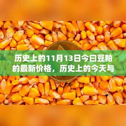 揭秘豆粕市场,今日价格走势与历史上的今天关联揭秘