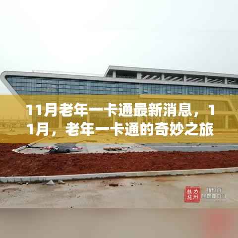11月老年一卡通最新动态,奇妙之旅开启