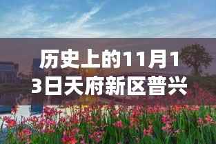 天府新区普兴规划崭新篇章,历史上的11月13日见证自信与成就变迁之路