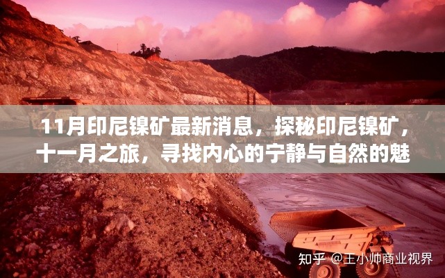探秘印尼镍矿,十一月之旅,与自然共舞,追寻内心宁静的魅力