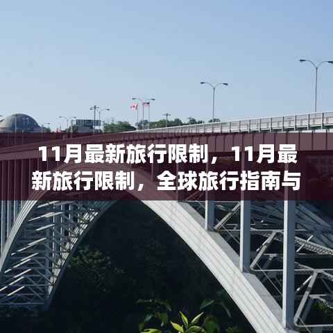 全球旅行指南,最新旅行限制与案例分析(十一月版)