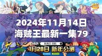 海贼王最新集791,探索巷弄深处的宝藏与独特小店的魅力时光