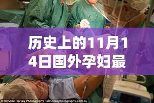 公司概况 第196页