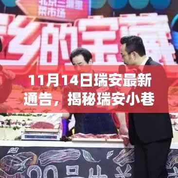 揭秘瑞安小巷深处的隐藏宝藏,最新探秘之旅(11月14日)