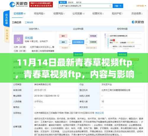 青春草视频揭秘,内容与双刃剑效应的双重影响