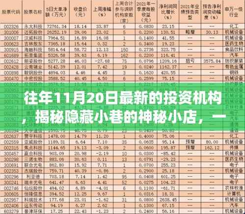 揭秘神秘小巷中的隐藏宝藏,不为人知的投资机构故事