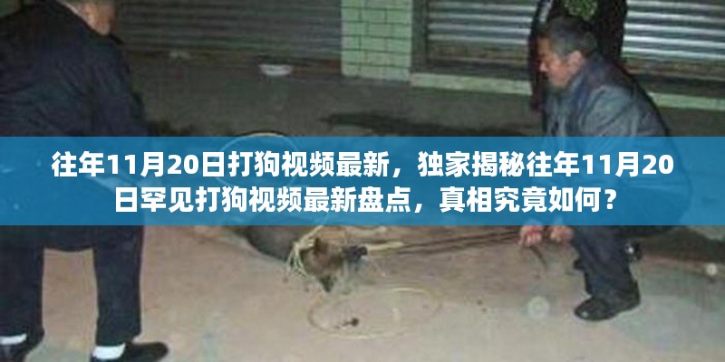 独家揭秘,往年11月20日罕见打狗事件回顾与最新视频盘点,真相揭秘!
