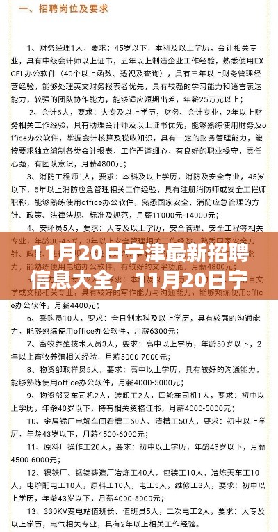 11月20日宁津最新招聘信息汇总,全面解读招聘平台特性与体验