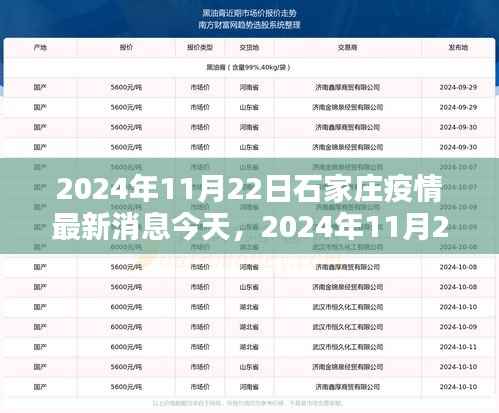 2024年11月22日石家庄疫情最新消息与今日概况