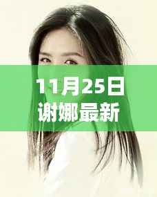 谢娜最新综艺节目观看全攻略,初学者与进阶用户观看指南(2017年11月版)