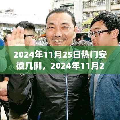 2024年11月25日安徽疫情最新热点解读，病例数量及防控措施