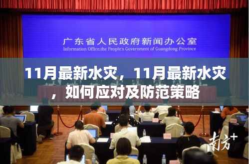 最新应对与防范策略，如何应对和防范11月水灾灾害