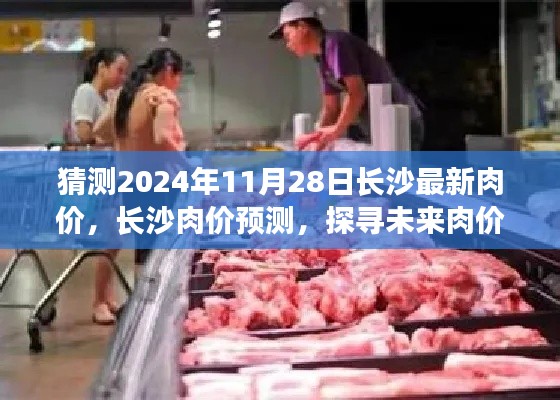 探寻长沙未来肉价走势,预测长沙肉价至2024年11月28日最新趋势分析