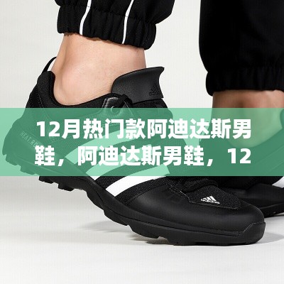 12月热门款阿迪达斯男鞋，潮流之巅的辉煌印记