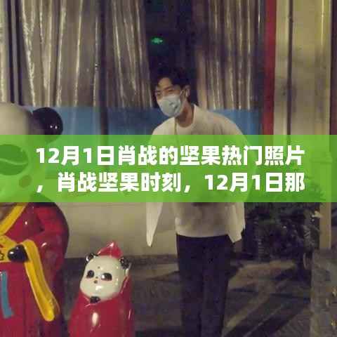 肖战坚果时刻,12月1日令人心动的瞬间与热门照片回顾
