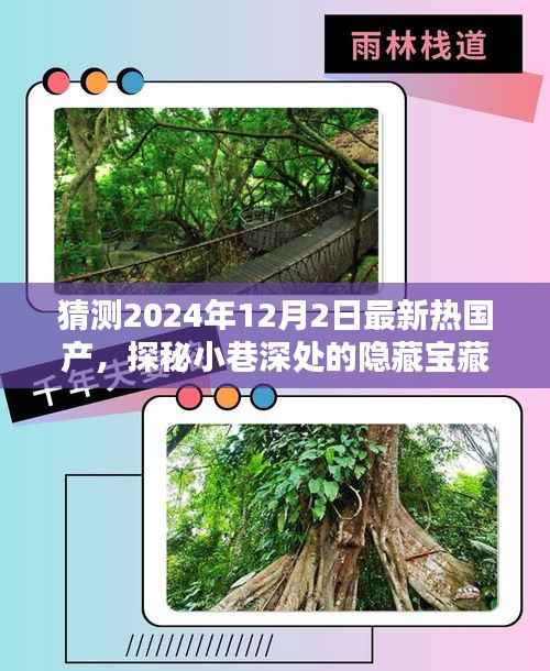 探秘小巷深处的独特宝藏,揭秘特色小店风采,国产热潮即将掀起新篇章——2024年最新国产探秘之旅