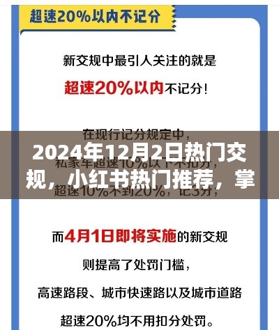 2024年交规新动态与热门推荐,小红书指南助你出行必备