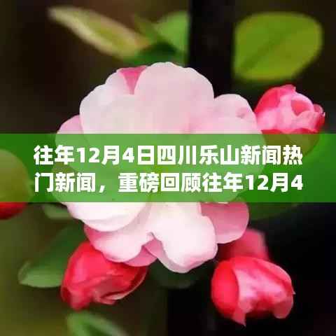 往年12月4日四川乐山新闻热点回顾与聚焦